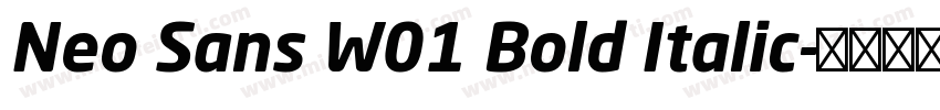 Neo Sans W01 Bold Italic字体转换